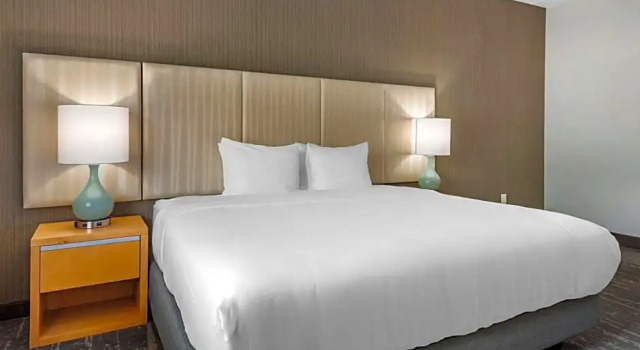 Двухместный номер Standard Somerset Lofts