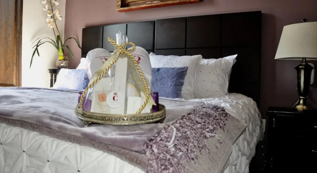 Historical Downtown Luxury, Book Apartment Hotels in Jalisco with a Pool, Swimming Pool