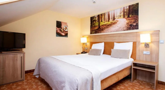 Двухместный номер Comfort Fletcher Hotel-Restaurant Klein Zwitserland