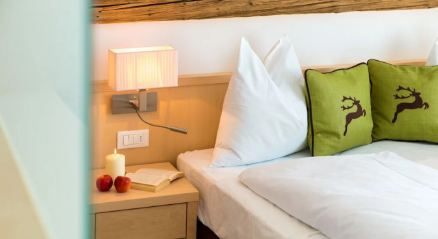 Номер Standard Hotel Regglbergerhof