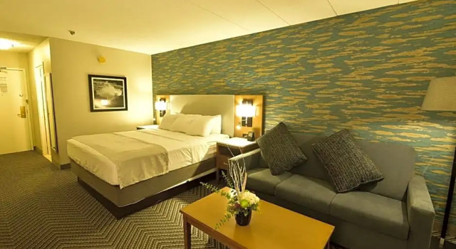 Номер Business Radisson Hotel Niagara Falls-Grand Island