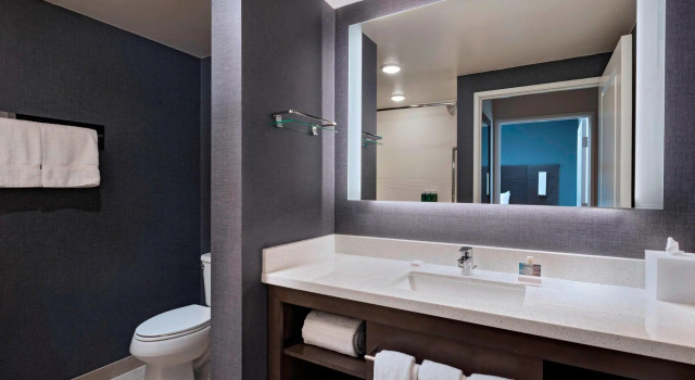 Двухместный люкс c 1 комнатой Residence Inn by Marriott St. Paul Downtown