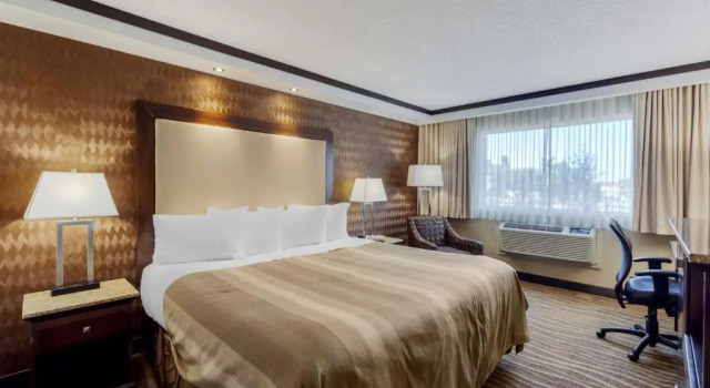 Номер Standard Best Western Plus Edmonton Airport Hotel