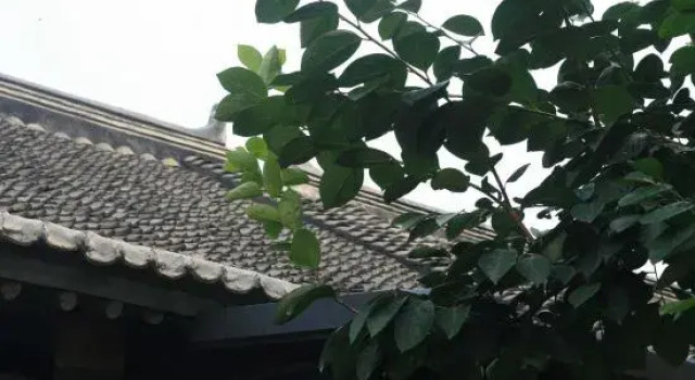Guitianxuan Homestay, Book Hotel Hoteller i Beijing Province med parkering, Parkering
