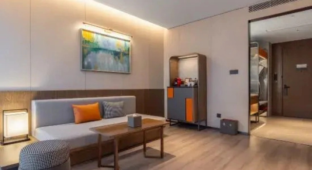 Двухместный люкс Executive UrCove by Hyatt Nanjing South Railway Station BaiJia Lake