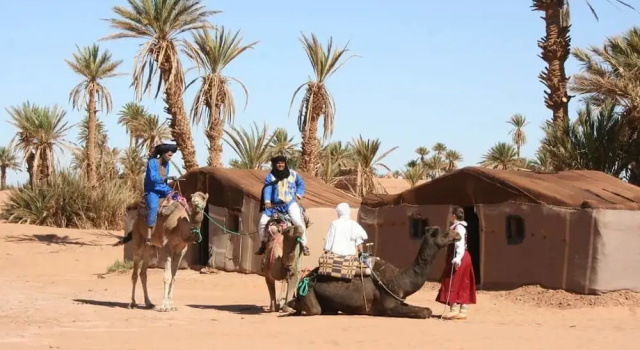 Тент Camp Sahara Nights