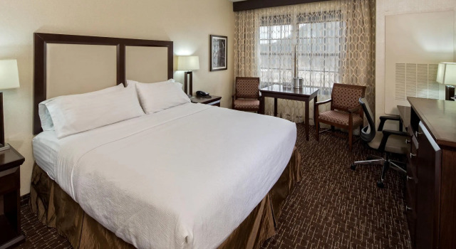 Номер Standard Holiday Inn Resort Deadwood Mountain Grand by IHG