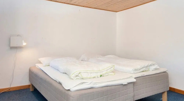 14 Person Holiday Home in Romo