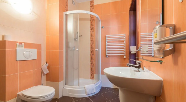 Двухместный номер Classic Hotel Skalite Spa & Wellness