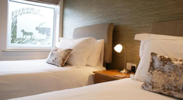 Deluxe værelse Lamb Inn Guesthouse