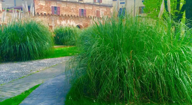 Апартаменты Locanda Delle Fate