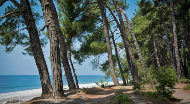 В гостях у Руслана, Boek Hotel Gulrypsh Abchazië