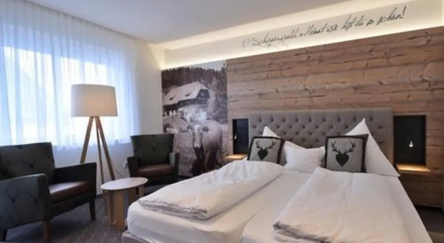 Camera Standard Hotel Hirschen