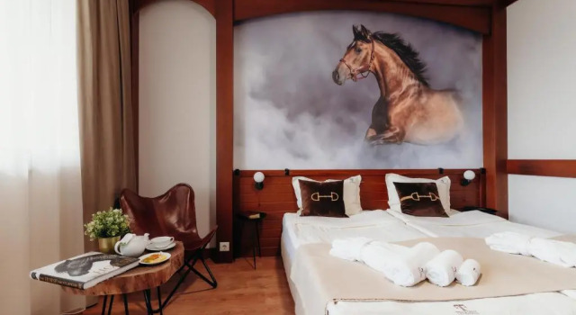 Номер Standard Boutique Complex Trakiets