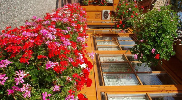 Hotel Ristorante Walter