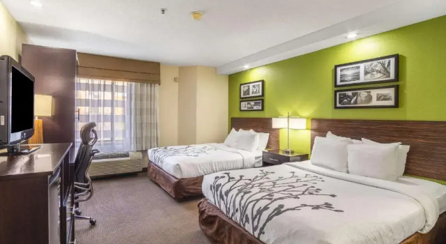 Четырёхместный номер Standard Garner Hotel Aiken South by IHG