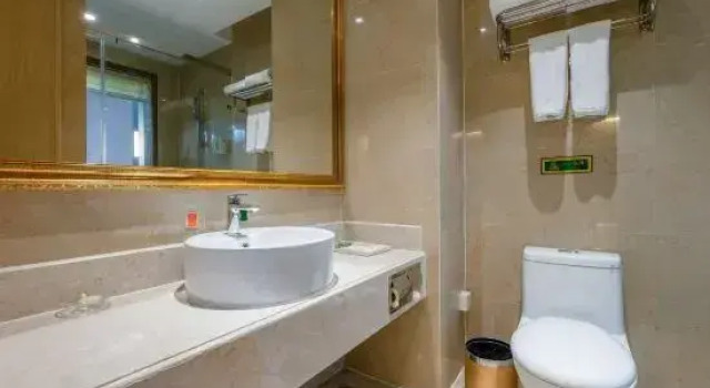 Люкс Deluxe Vienna International Hotel (Nanjing Sun Yat-sen Agricultural University)