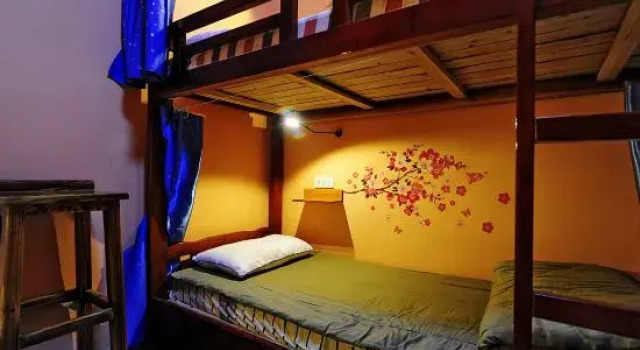 Кровать в общем номере (женский номер) Guiyang Villa International Youth Hostel