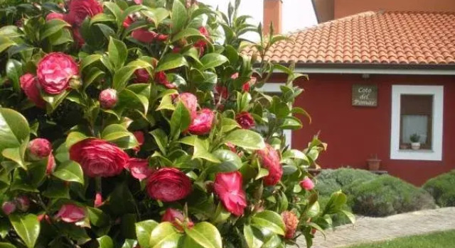 Hotel Coto del Pomar