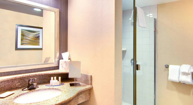 Двухместный номер Standard Courtyard by Marriott Rochester Mayo Clinic Area/Saint Marys