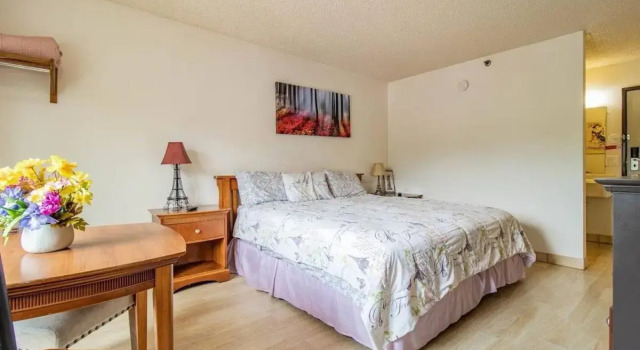Super 8 Manitou Springs Cos Area/Pikes P, Забронировать Отель Отели Маниту-Спрингса 3 звезды, 3*