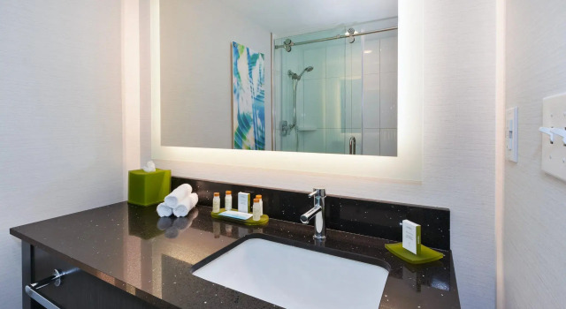 Номер Deluxe Hotel Indigo Rochester - Mayo Clinic Area by IHG