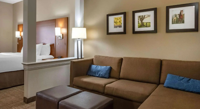 Двухместный номер Standard Comfort Suites Hotel and Conference Center