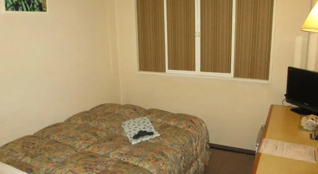 Одноместный номер Standard Ace Inn Kariya