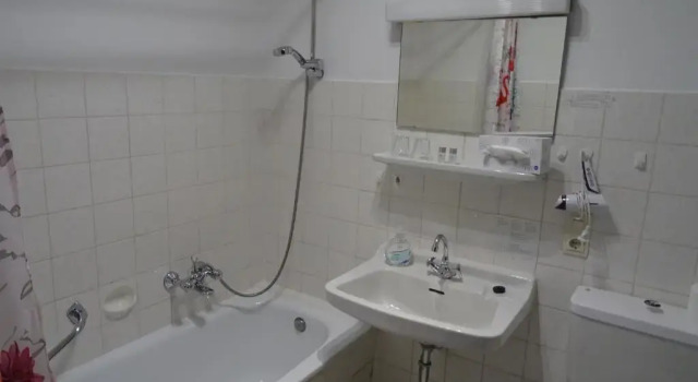 Двухместный номер Standard Hotel Winterberg Resort