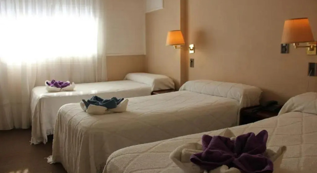 Номер Executive Hotel Bertaina
