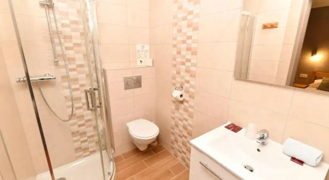 Одноместный номер Standard Hotel Restaurant Le Centre
