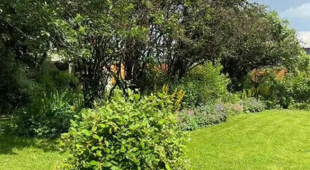 Apartament Staden Grange