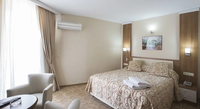 Люкс Business Uyu Room Adana Hotel