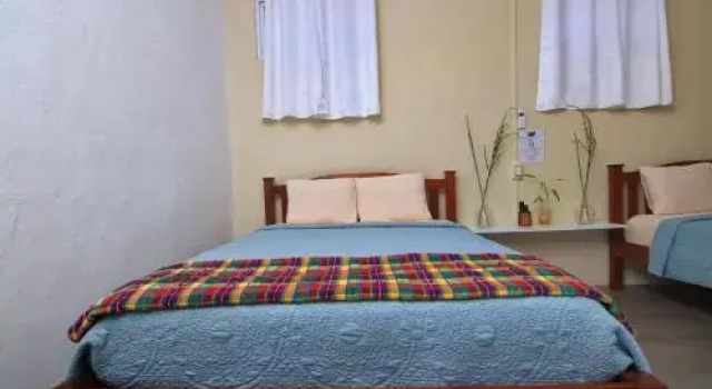 Rainforest Haven Inn