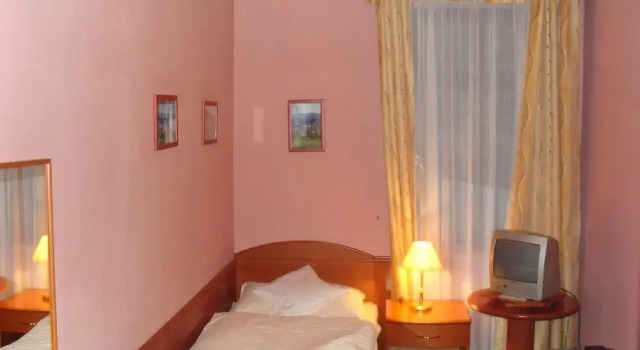 Одноместный номер Standard Wellness Hotel Anna Nejdek