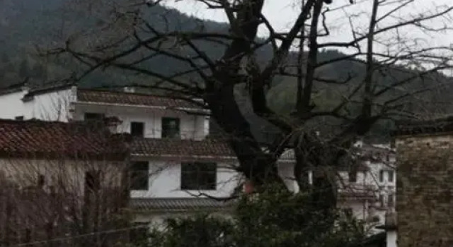 Qingyuan Yinxing Farm Stay, Rezerwuj Pobyt na farmie Shangrao Jiangxi