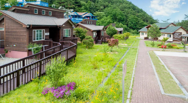 Gangneung Yasaenghwa Maeul, Prenota Hotel Gangneung Gangwon-Do