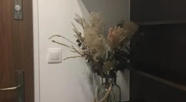 HOME Apartment