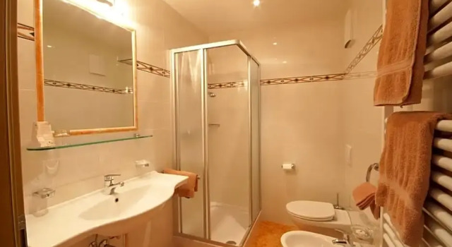 Номер Standard Hotel Lahnerhof