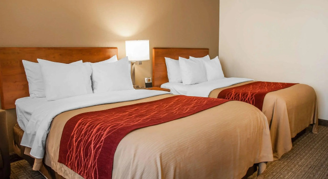 Четырёхместный номер Standard Comfort Inn Dickinson