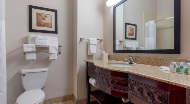 Двухместный люкс Comfort Inn & Suites Denison - Lake Texoma