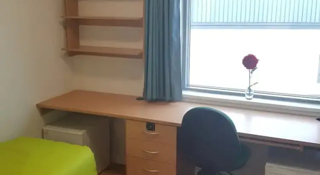 Одноместный номер Standard Friendship House