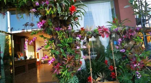 Xishuangbanna Rainforest Flower Valley Hotel (Gasa International Airport), Buchen Sie Hotel Hotels in Yunnan mit Parkplatz, Parkplätze