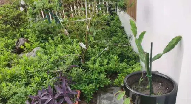 QinShiYue Homestay, Varaa Hotelli Shanghai Shanghai