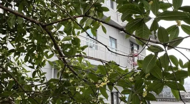 YouRan Ju Homestay, Prenota Hotel Hotel a Anhui con parcheggio, Parcheggio
