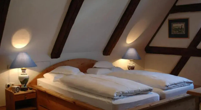 Hotel Schwarzer Adler, Prenota Hotel Erlangen Media Franconia