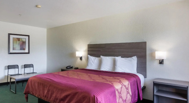 Двухместный номер Standard OYO Inn & Suites Medical Center San Antonio