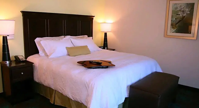 Двухместный люкс Hampton Inn & Suites Wilder