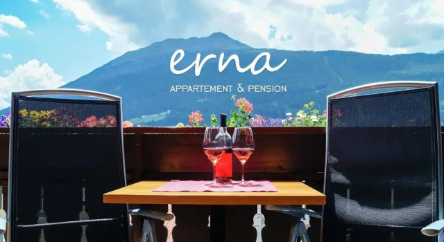 Номер Standard Pension Apartment Erna