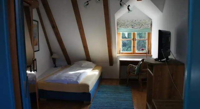 Одноместный номер Standard Hotel Schwarzer Adler